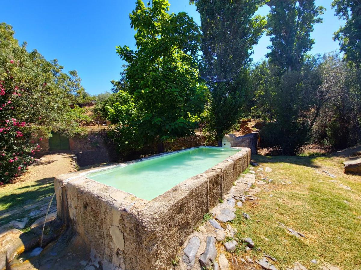 Apartamentos Rurales Tinguaton Aldeanueva de Barbarroya 外观 照片
